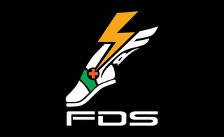 FDS logo