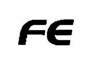 FE logo
