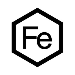 FE logo