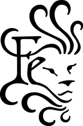 FE logo
