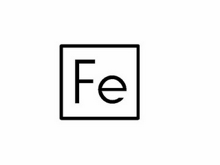 FE logo