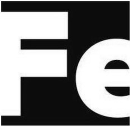 FE logo
