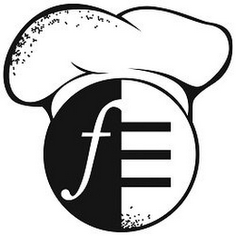 FE logo