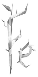 FE logo