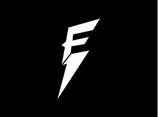 FE logo