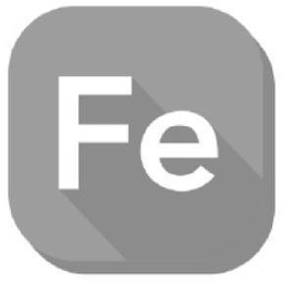 FE logo