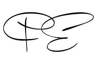 FE logo