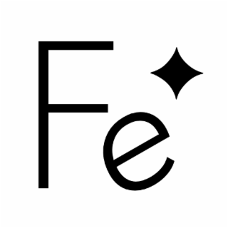 FE logo