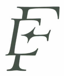 FE logo