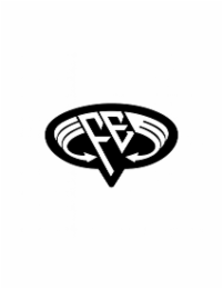 FE logo