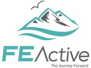 FE ACTIVE logo