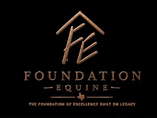 FE FOUNDATION EQUINE THE FOUNDATION OF EXCELLENCE BUILT ON LEGACY logo