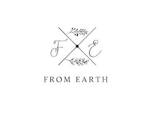 FE FROM EARTH logo
