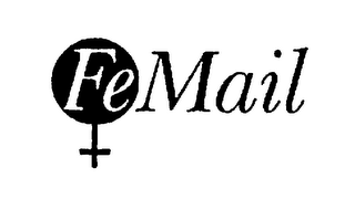 FE MAIL logo