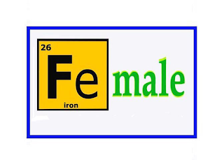 FE MALE IRON 26 logo