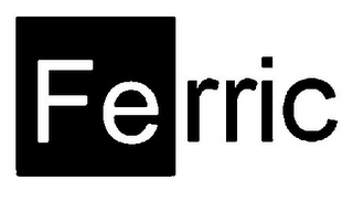 FE RRIC logo