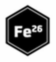 FE26 logo