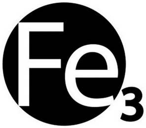 FE3 logo