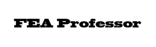 FEA PROFESSOR logo