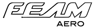 FEAM AERO logo