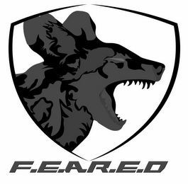 F.E.A.R.E.D logo