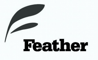 FEATHER logo