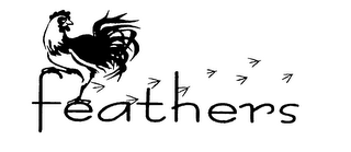 FEATHERS logo