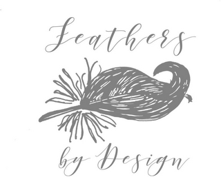 FEATHERS BY DESIGN logo