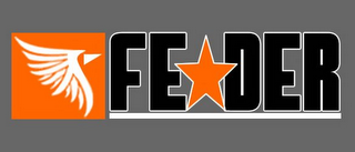 FEDER logo