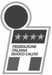 FEDERAZIONE ITALIANA GIUOCO CALCIO logo