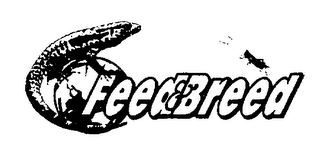 FEED & BREED logo