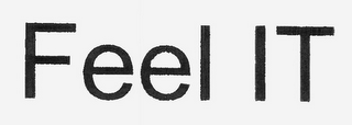 FEEL IT logo