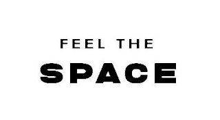 FEEL THE SPACE logo