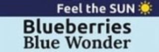 FEEL THE SUN BLUEBERRIES BLUE WONDER logo