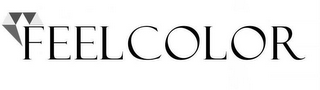 FEELCOLOR logo