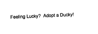 FEELING LUCKY? ADOPT A DUCKY! logo