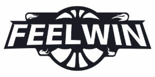 FEELWIN logo