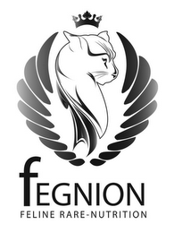 FEGNION FELINE RARE-NUTRITION logo