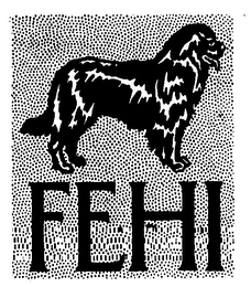 FEHI logo