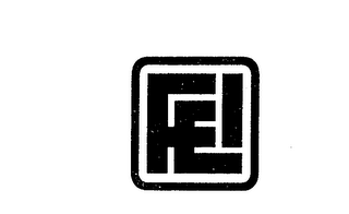 FEI logo