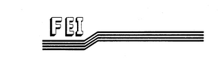 FEI logo