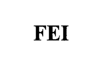 FEI logo