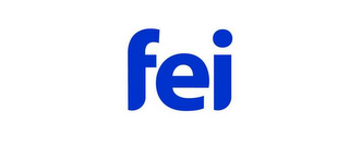 FEI logo