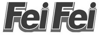FEI FEI logo