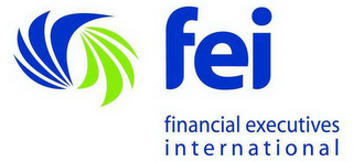 FEI FINANCIAL EXECUTIVES INTERNATIONAL logo