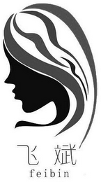 FEIBIN logo