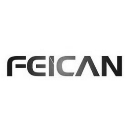 FEICAN logo