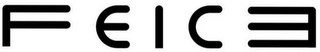 FEICE logo