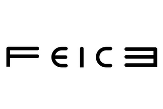 FEICE logo