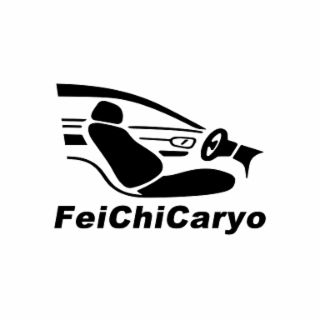 FEICHICARYO logo